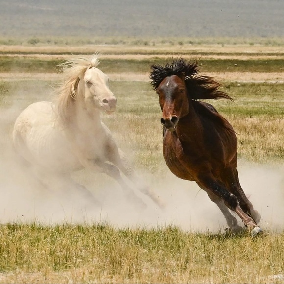 Gorgeous handpainted suede fringe jacket sz SM tribal Southwest horse eagle OOAK - Picture 12 of 12